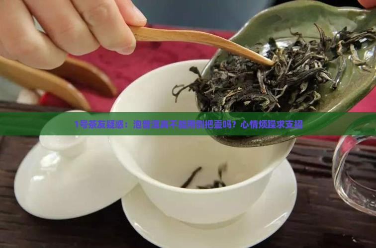 泡普洱茶不能用侧把壶吗