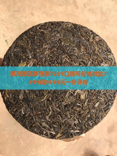 郎河普洱茶熟茶7269