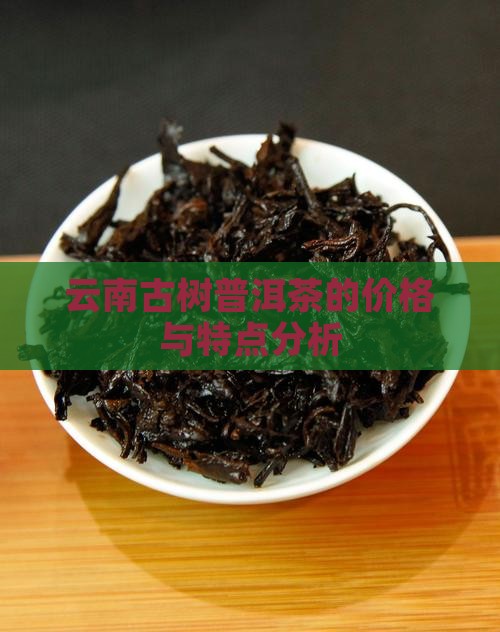若拔赛古树普洱茶