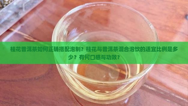 桂花普洱茶可以一起泡吗