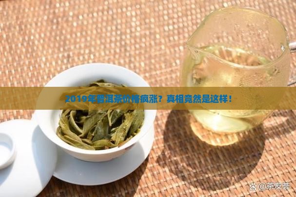 2019年普洱茶价格乱像