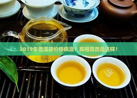 2019年普洱茶价格乱像