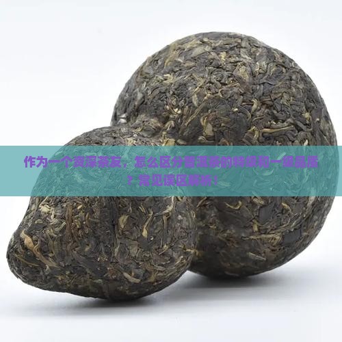 普洱茶分为特级和什么区别