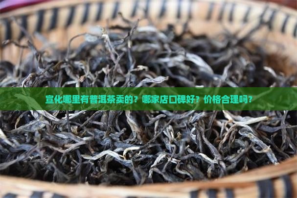 宣化哪里有普洱茶卖的
