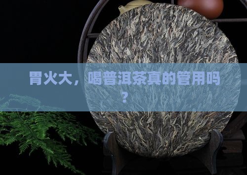 胃火大能喝普洱茶吗