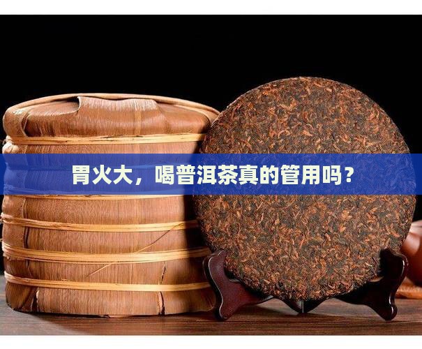 胃火大能喝普洱茶吗