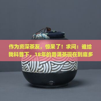 十八年老普洱茶多少钱一斤