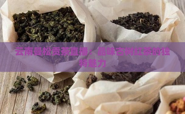 云南曼松贡茶直播