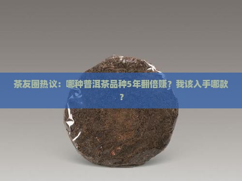 升值最高的普洱茶品种
