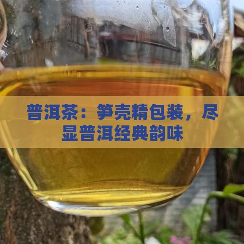 竹笋壳包装的好境界普洱茶