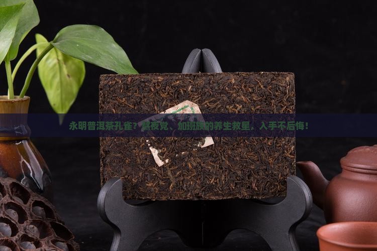 永明普洱茶孔雀