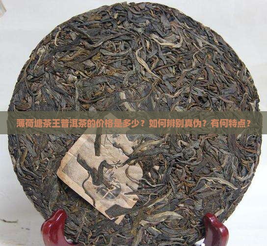 薄荷塘茶王普洱茶