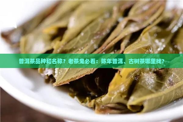 普洱茶品种和名称