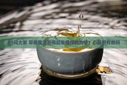 早春普洱茶不好吗