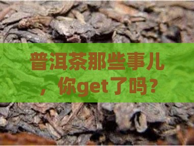 关于普洱茶的小知识简短