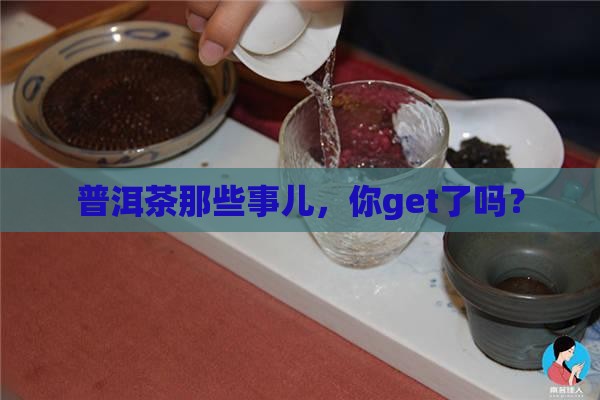关于普洱茶的小知识简短