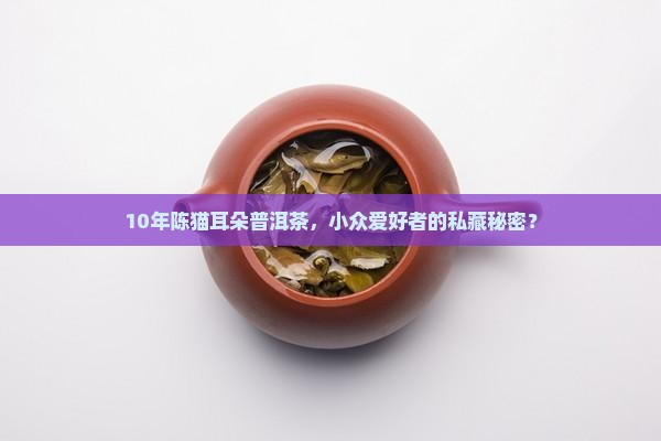 猫耳朵普洱茶古茶