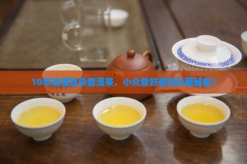 猫耳朵普洱茶古茶