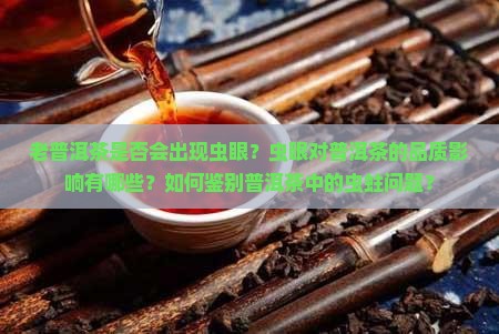 老普洱茶有虫眼吗