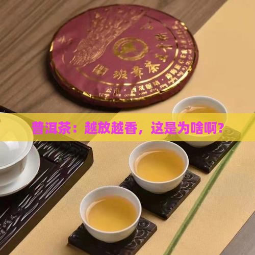 普洱茶为什么放了才好喝