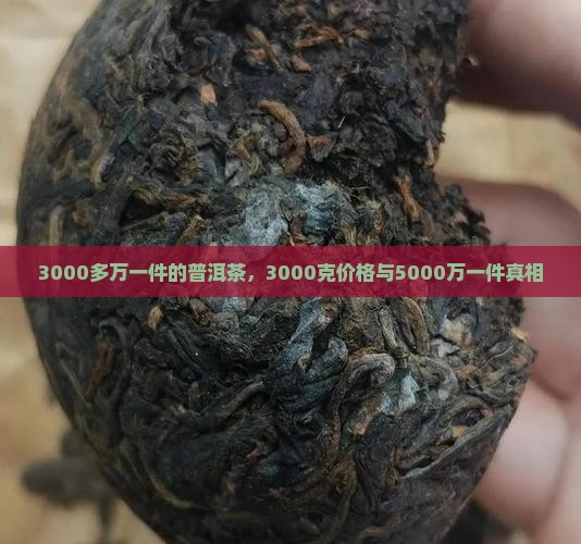 3000多万一件的普洱茶