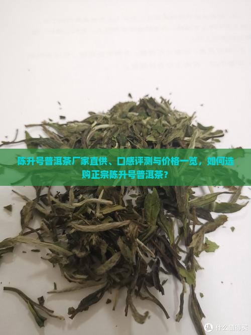 陈升号厂家普洱茶