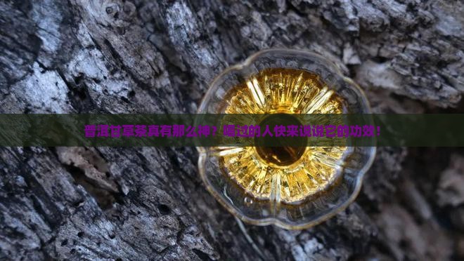 普洱甘草茶功效