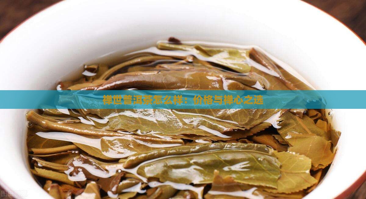 禅世普洱茶怎么样