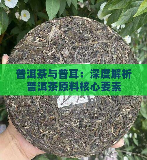 普洱茶原料要素