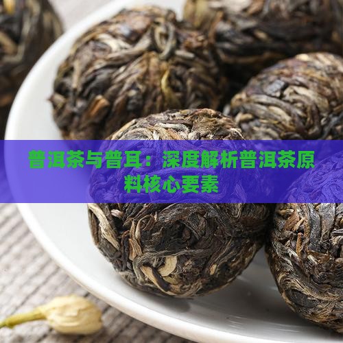 普洱茶原料要素