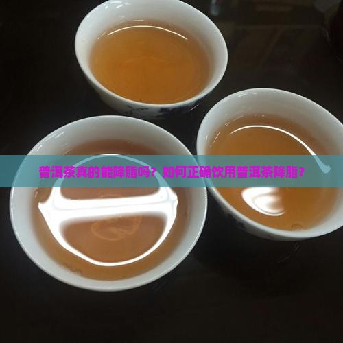 普洱茶降脂有哪些