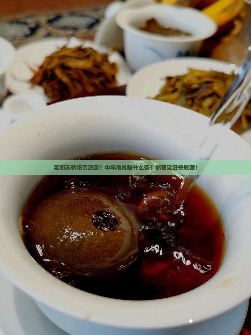 老同志骄阳普洱茶