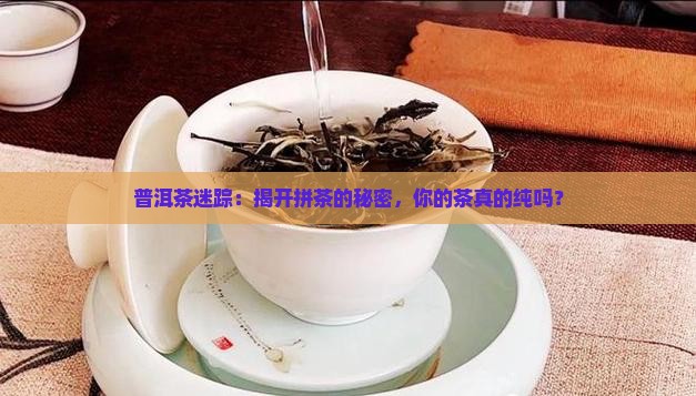普洱茶如何辨别拼茶
