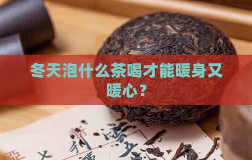 冬天泡什么茶喝好