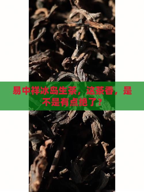 易中祥冰岛生茶