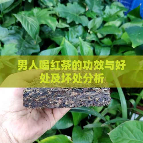 男人喝红茶的功效
