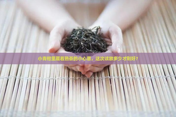 普洱茶冲泡投茶量小青柑普洱熟茶