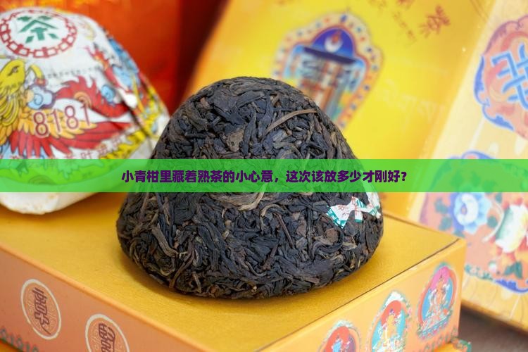 普洱茶冲泡投茶量小青柑普洱熟茶