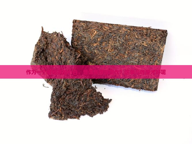 普洱茶饼纸现代