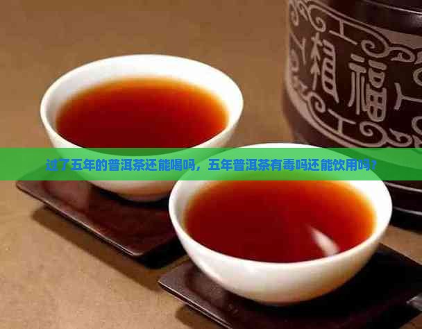 过了五年的普洱茶还能喝吗
