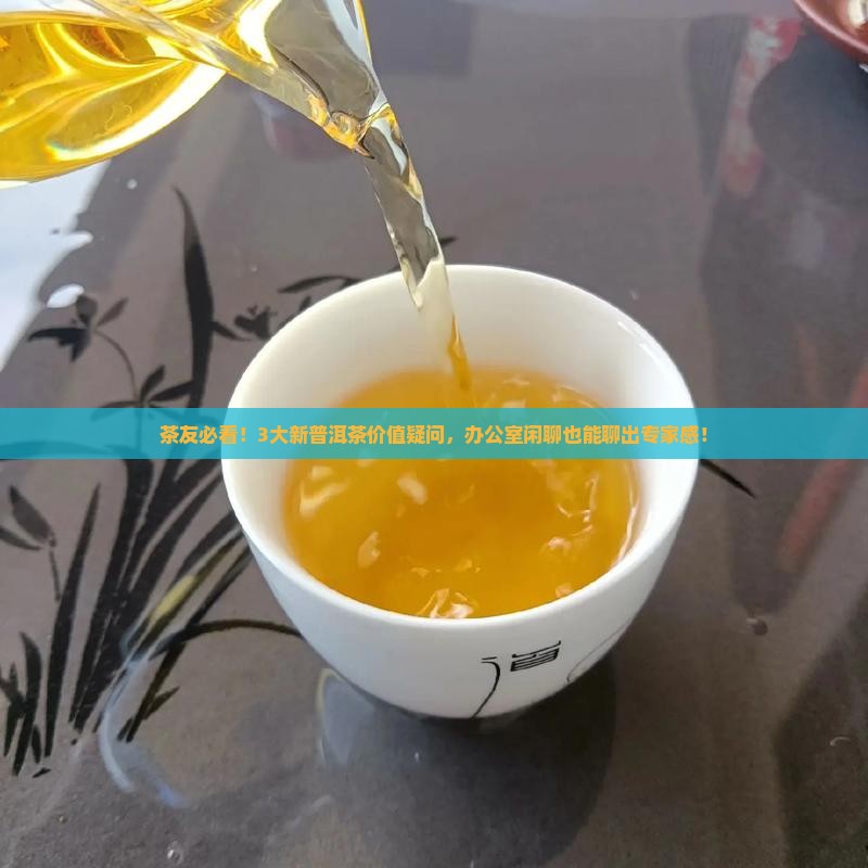 普洱茶新茶价值分析表