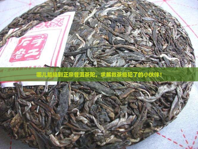 普洱茶陀茶那儿能买到