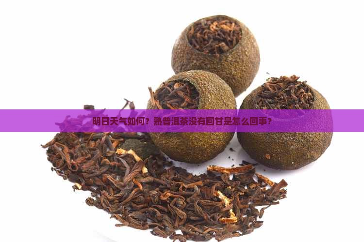 明日天气熟普洱茶没有回甘