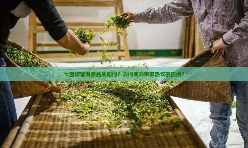 七宝坊普洱茶怎么样好不好