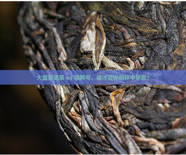 大益普洱茶和瑞聘号
