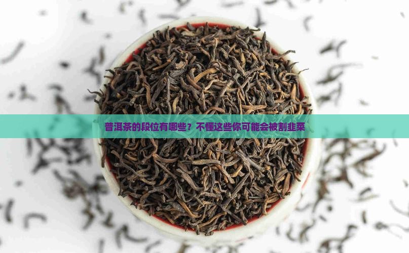 普洱茶的段位有哪些