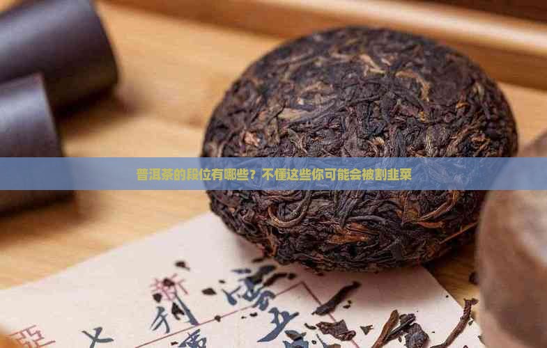 普洱茶的段位有哪些