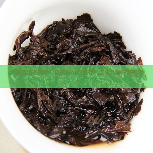 大益普洱茶自饮如何购买藏