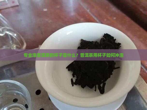 专业泡普洱茶的杯子