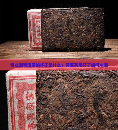 专业泡普洱茶的杯子